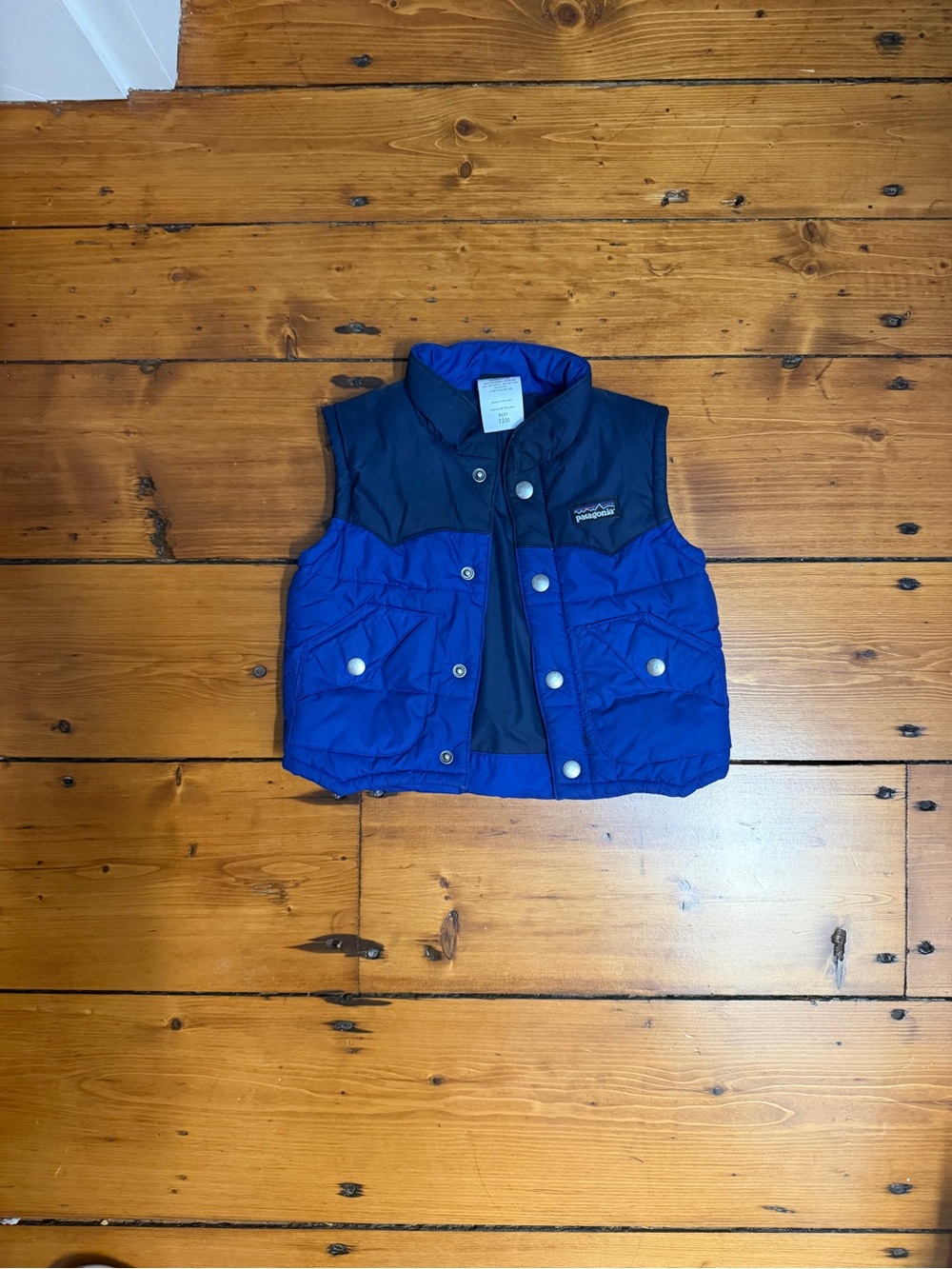 Patagonia Kids Vest in Royal & Navy Blue